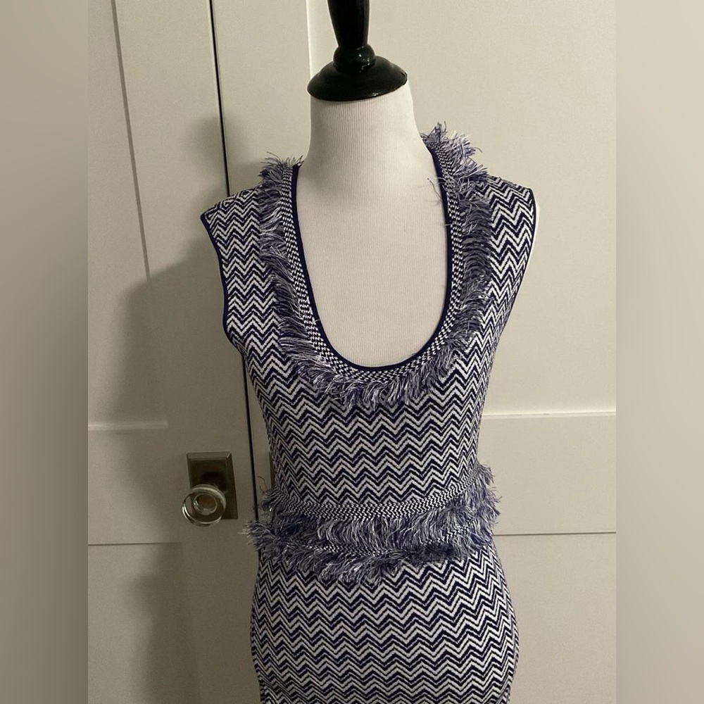 Ronny Kobo Collection Blue Chevron Fringe Top